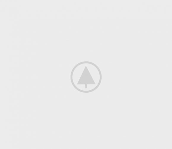 wood-portfolio-placeholder wood-portfolio-placeholder